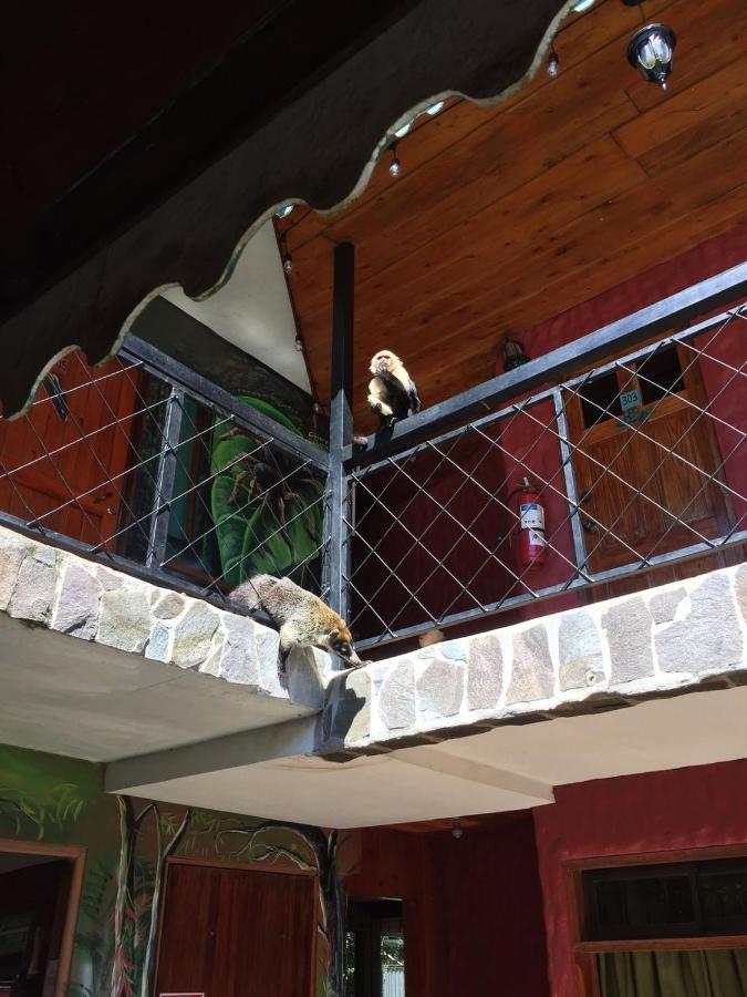 Manakin Lodge, Monteverde Cr Buitenkant foto